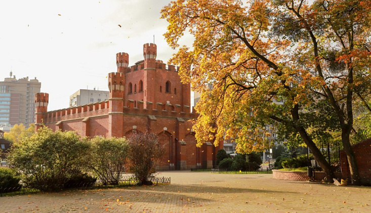 Чем заняться в Калининграде Чем заняться в Калининграде